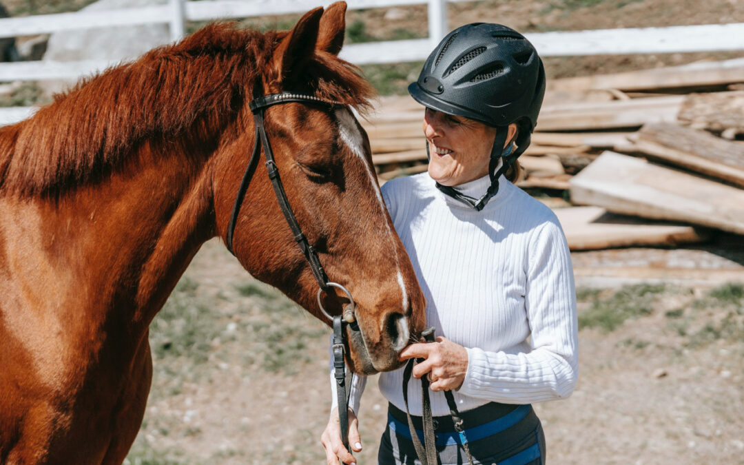 Horse Training – The Natural Way